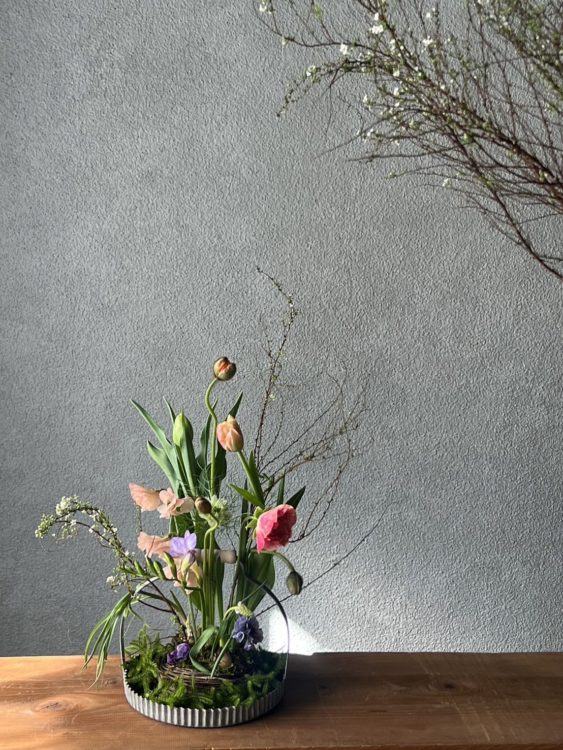 2026年1月春の花レッスン